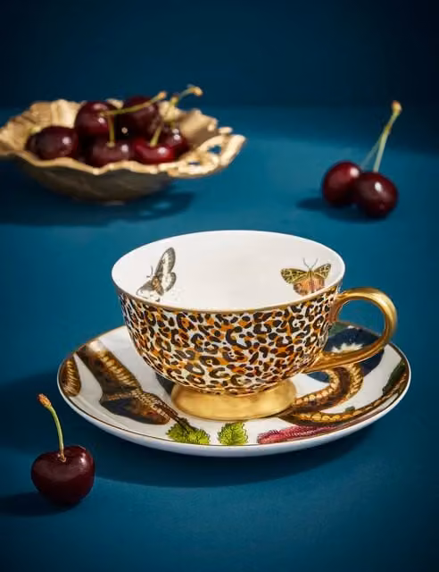 Spode Creatures of Curiosity Bone China Coffee Cup and Saucer Set in Multicolour and Gold