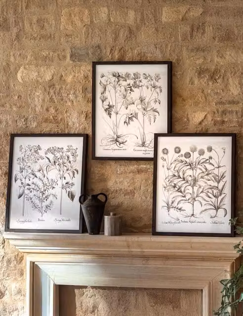 Gallery Direct Set of 3 Evergreen Botanical Floral Illustration Paper Posters in Black Rectangular Wood Frames