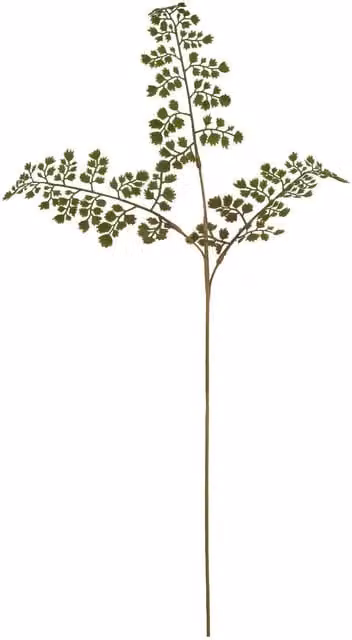 Hill Interiors The Natural Garden Collection Maidenhair Fern Artificial Flower in Green