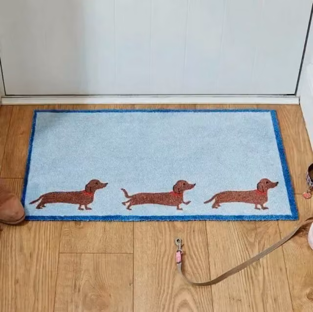 Marco Paul Non-Slip Rectangular Animal Graphic Door Mat in Blue and Brown