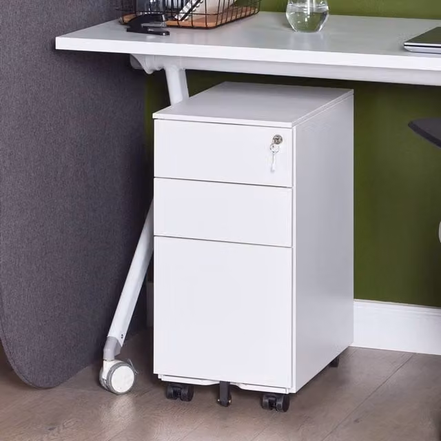Wyld and Coco White Glossy Metal Storage Cabinet with Lock and Internal Shelves