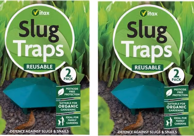 Vitax Beer Slug and Snail Traps, Green, Pack of 2