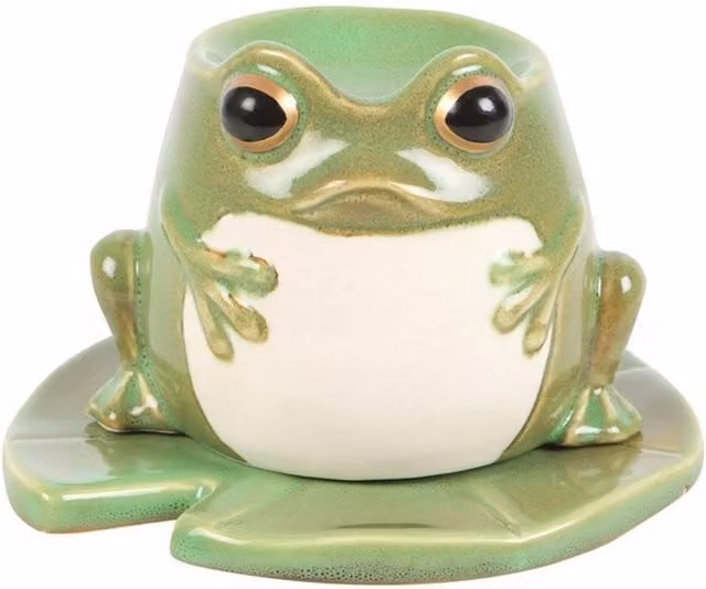 Something Different Enchanted Forest Frog Oil Burner in Green, H 14.0 cm x W 9.6 cm x D 14.0 cm