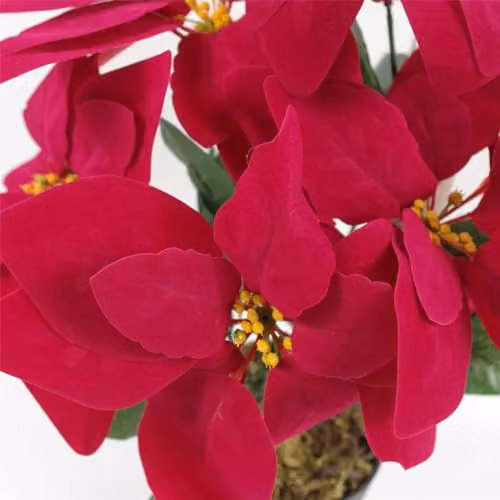 Leaf Artificial Red Poinsettia Christmas Potted Houseplant in Red, Green and Gold, Height: 40 cm – 2