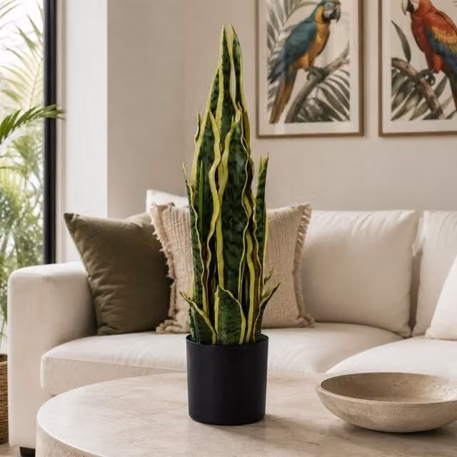 Leaf Design Yellow and Green Artificial Sansevieria Potted Indoor Plant, Height: 55 cm – 3