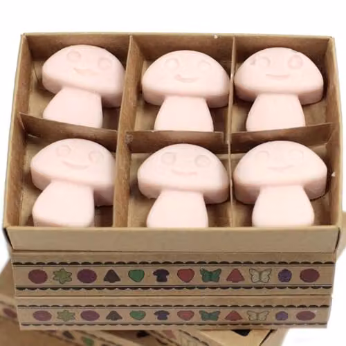 KDMD Old Ginger Wax Melts, Box of 6, Pink – 2