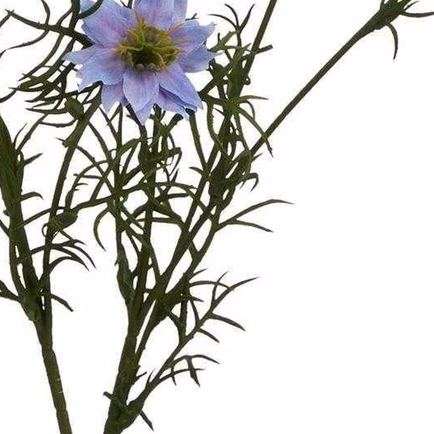 Hill Interiors Natural Garden Collection Love In A Mist Nigella Artificial Flower in Purple – 2