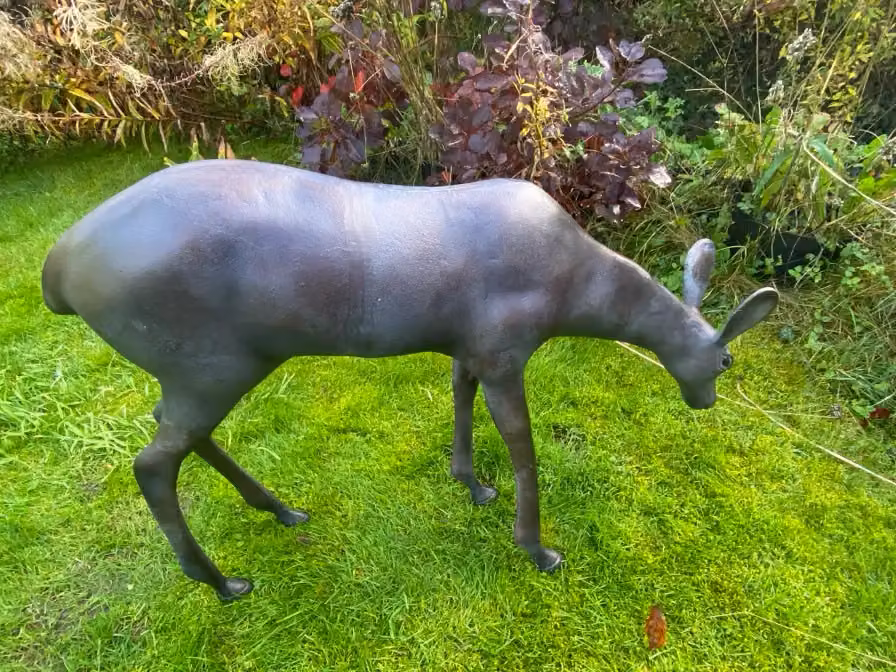 Inspirational Gifting Extra Large Grazing Doe Deer Garden Sculpture in Bronze Aluminium with an Antique Verde Finish – 2