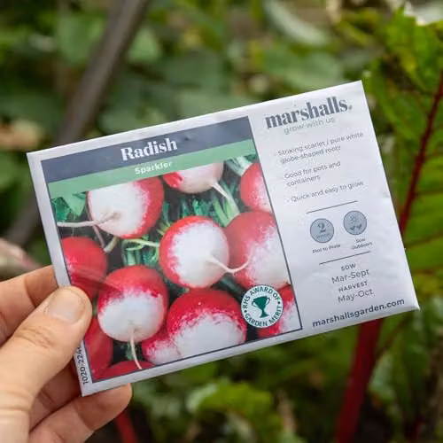 Unwins Radish Sparkler Red Vegetable Seeds – 3