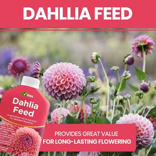 Vitax Organic Dahlia Liquid Feed 1L – 2