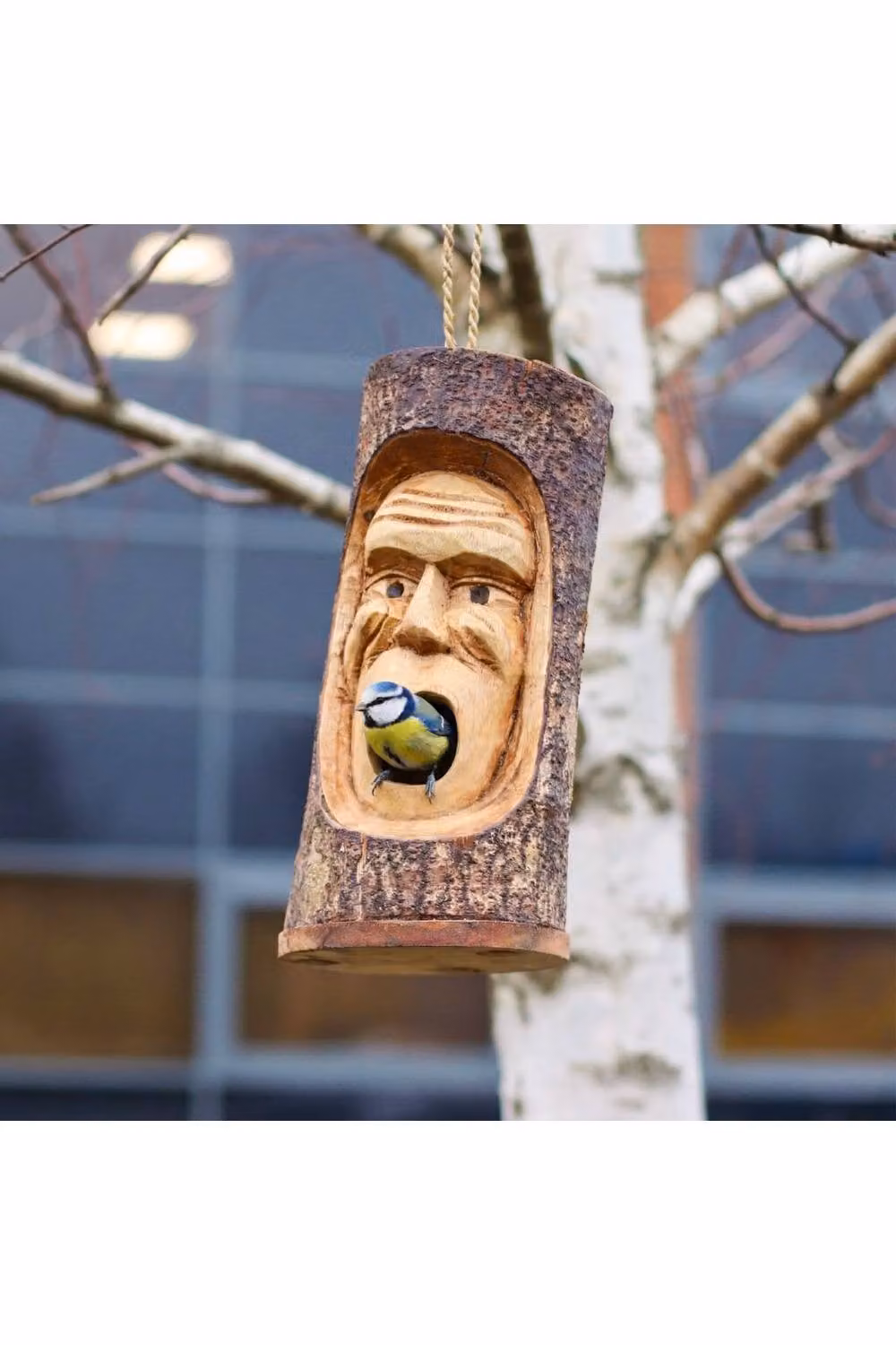 KDMD Hand-Carved Rustic Tree Trunk Bird House with Grumpy Old Man Face in Brown – 4