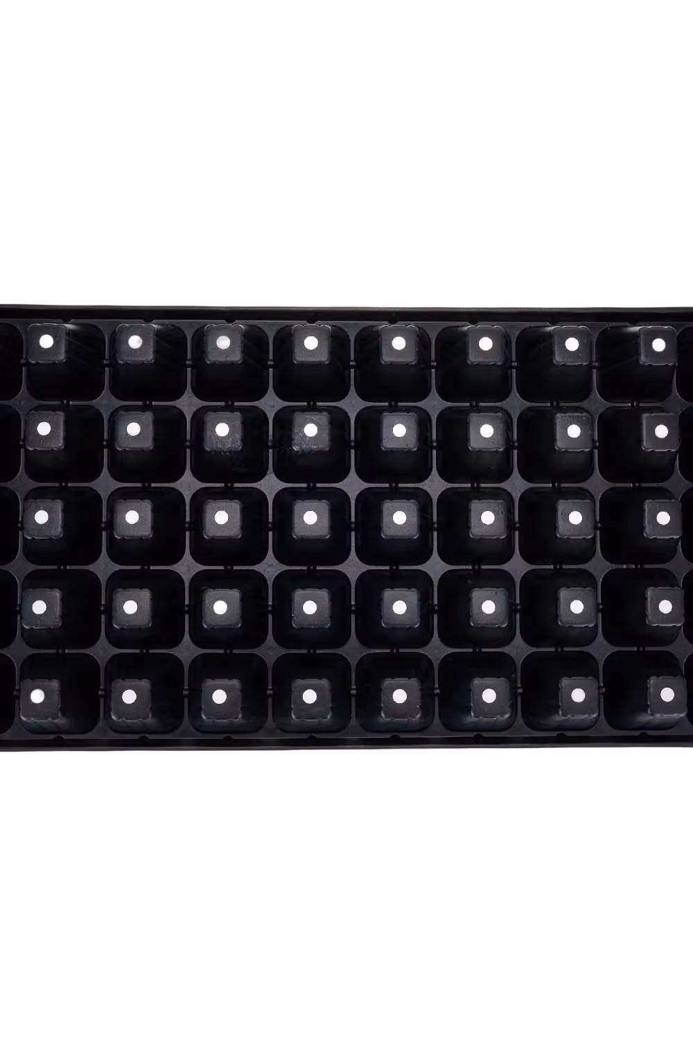 Living and Home 10 Pack of Durable 50 Cell Black Plastic Seedling Trays – 3