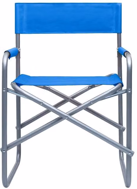Berkfield Home Comfortable Director's Chairs, 2 Piece Set in Steel Blue
