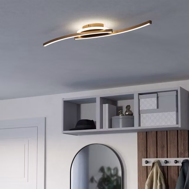 Eglo Lungolago Minimalist Steel Ceiling Light in Bronze and Stainless Steel
