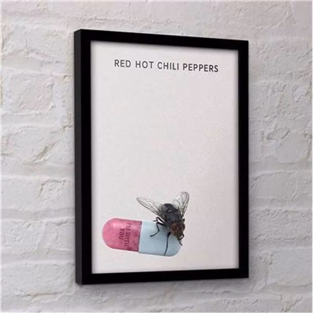 Red Hot Chili Peppers I'm With You Framed Paper Poster in Black – 1