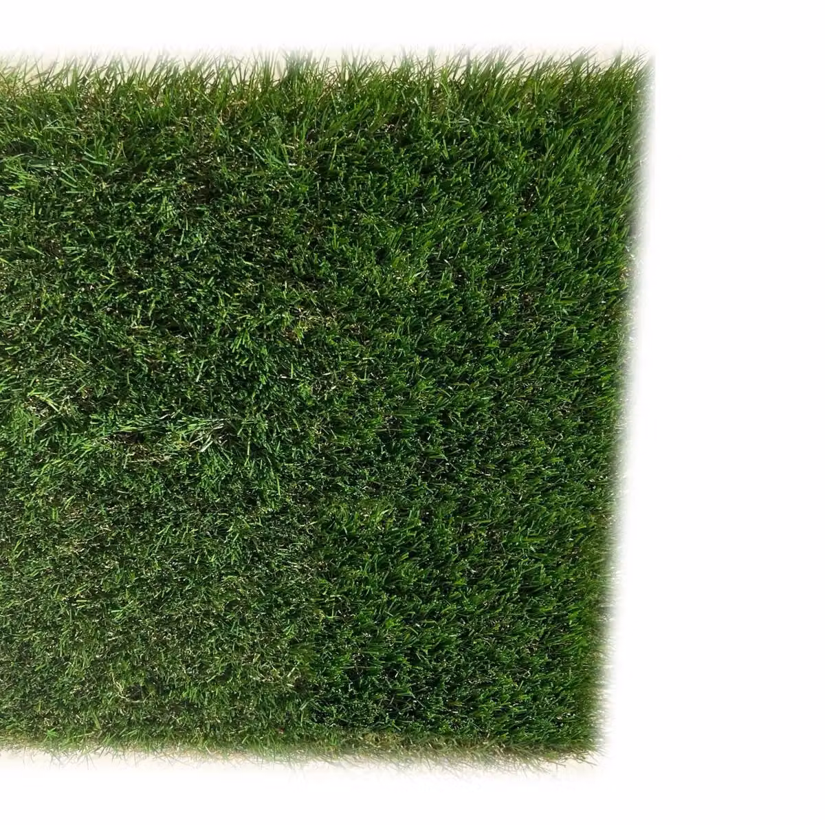 GB Fairhaven 38mm Artificial Grass in Green, W: 400 cm, D: 300 cm – 3