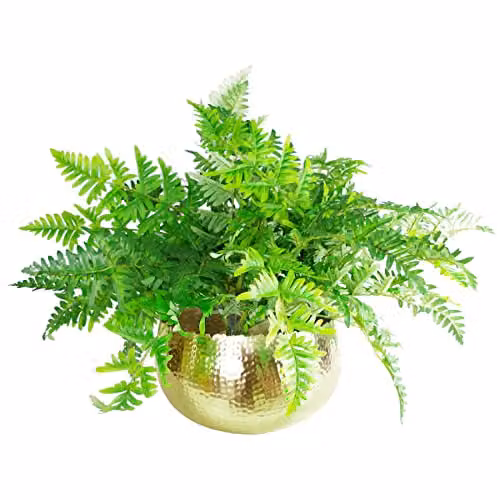 Leaf Hammered Metal Bowl in Gold and Yellow, W: 32 cm, D: 20 cm, H: 20 cm – 1