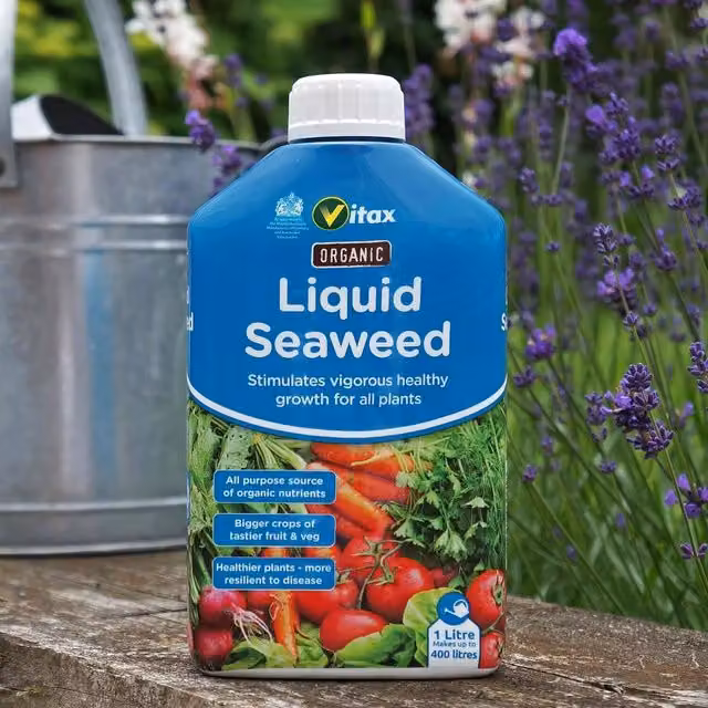 Vitax Organic Liquid Seaweed Plant Tonic and All Purpose Feed for Lawns, Vegetable Gardens and Ornamental Gardens, 1 l