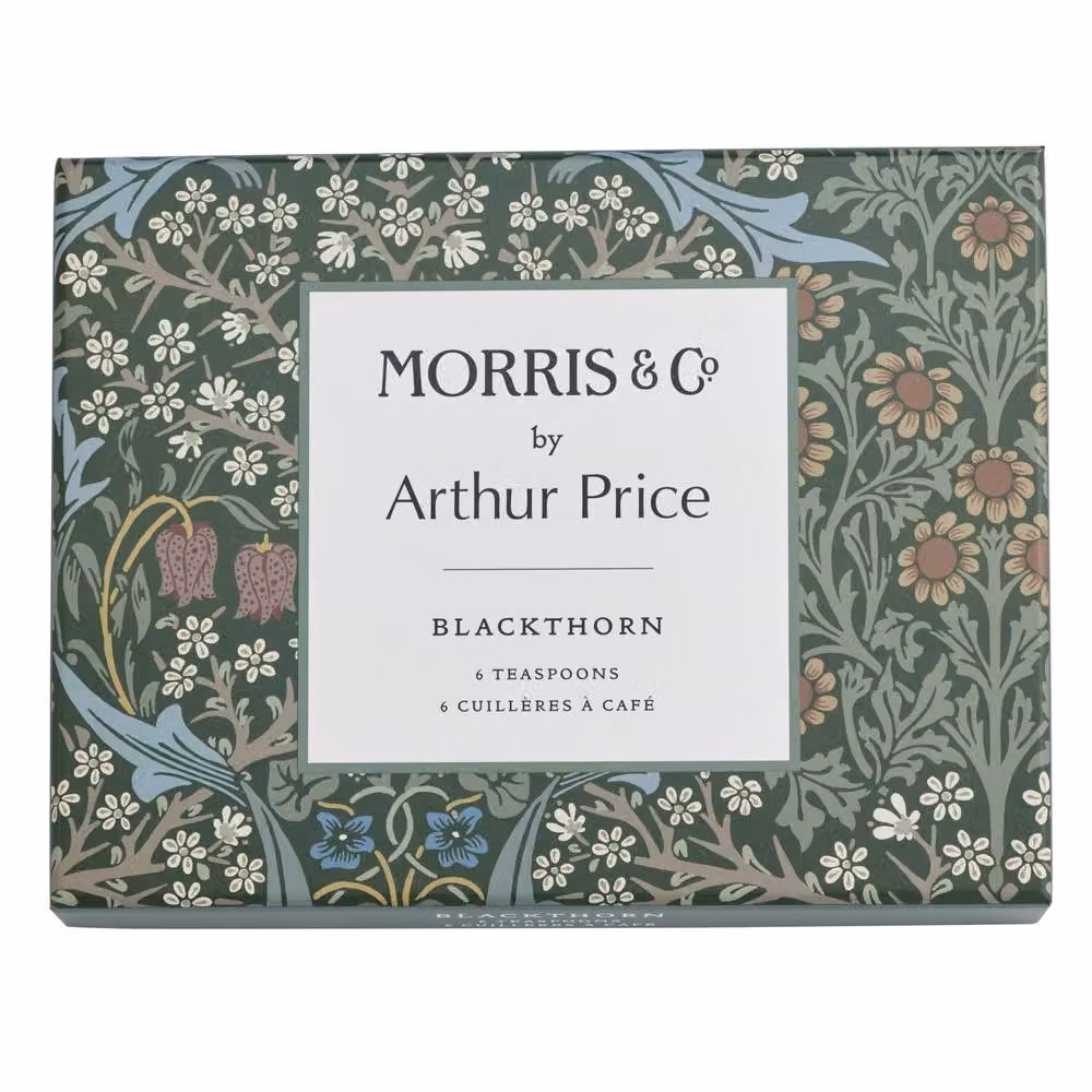 Arthur Price Morris & Co. Blackthorn Silver Plated Tea Spoon Gift Set of 6 – 4