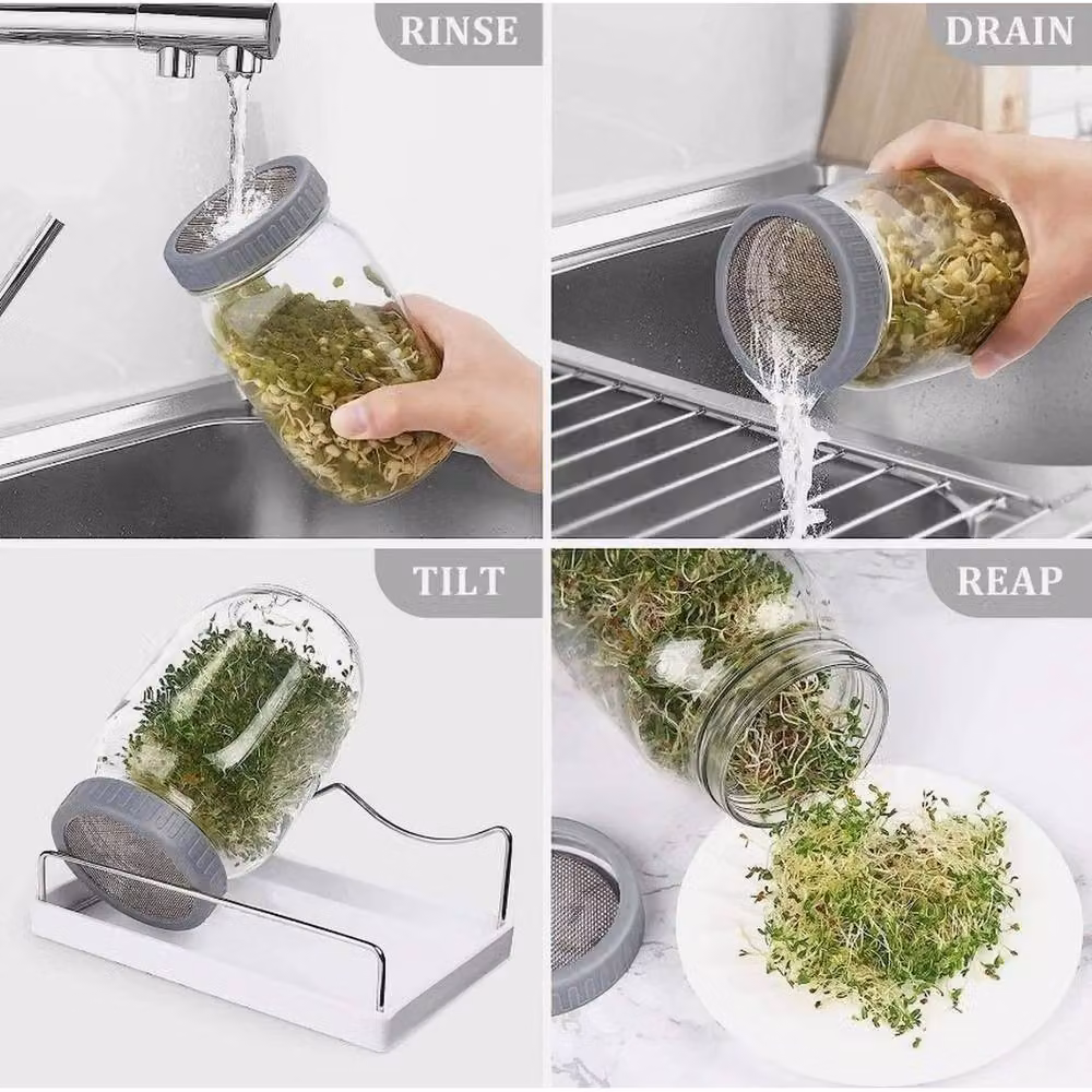 EONLION 2-Piece Seed Sprouting Jar Kit with Glass Jars, Stainless Steel Stand and Tray in Transparent – 3