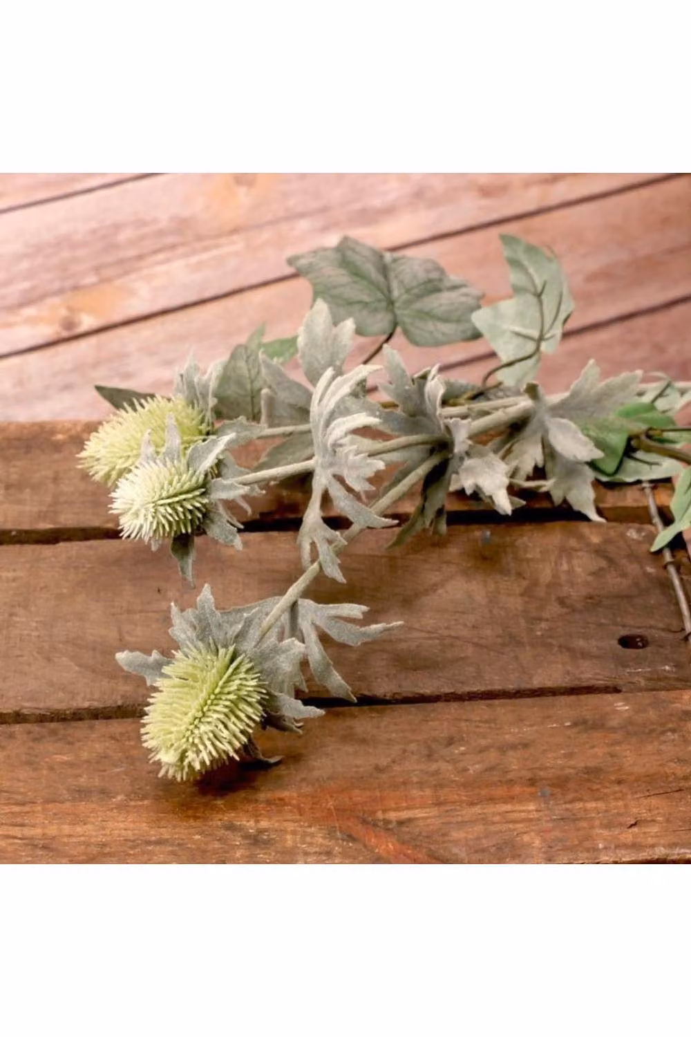 KDMD Green Thistle Spray 2 Pack with 3 Heads – 2