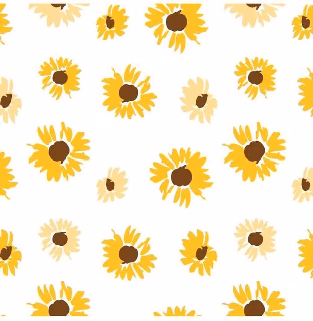KDMD Sunflower Splash Yellow Transparent Clear Cellophane Film, 60m
