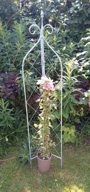 Inspirational Gifting Verdigris Metal Folding Obelisk Plant Support Trellis in Green, H 160 cm x W 35 cm x D 35 cm – 1