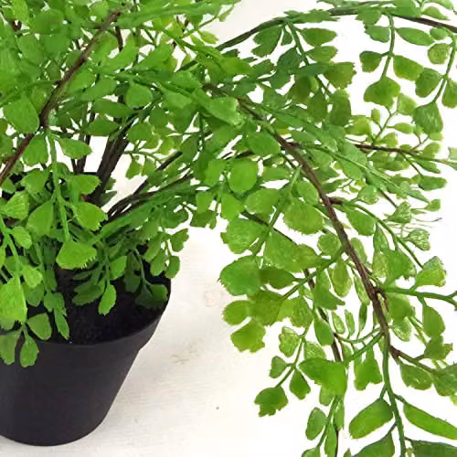 Leaf Design UK Realistic Large Artificial Palm Foliage Plant with Pot, Green, Height: 50 cm – 2