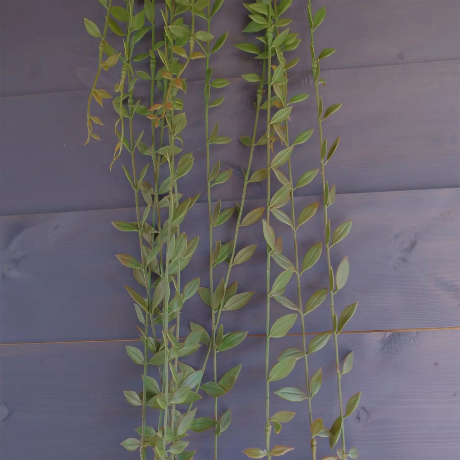 Leaf Artificial Hanging String of Pearls in Green – 2
