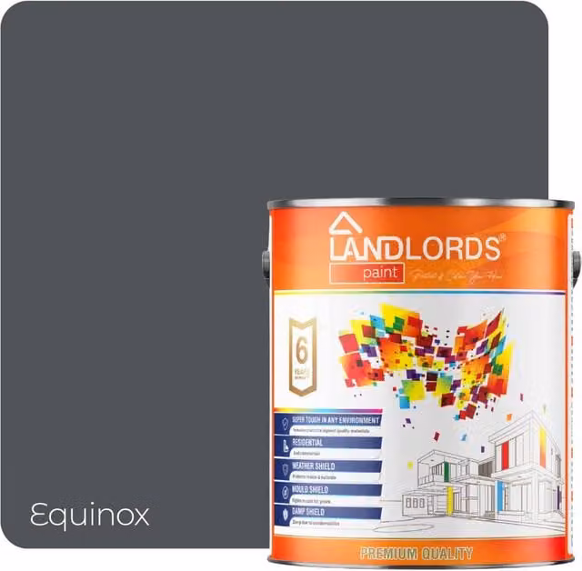 Landlords Paint Roof Paint in Equinox Grey, 20 l