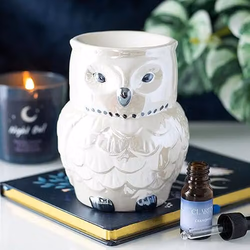 KDMD Owl Shaped Ceramic Oil Burner with Iridescent Glaze in White – 2