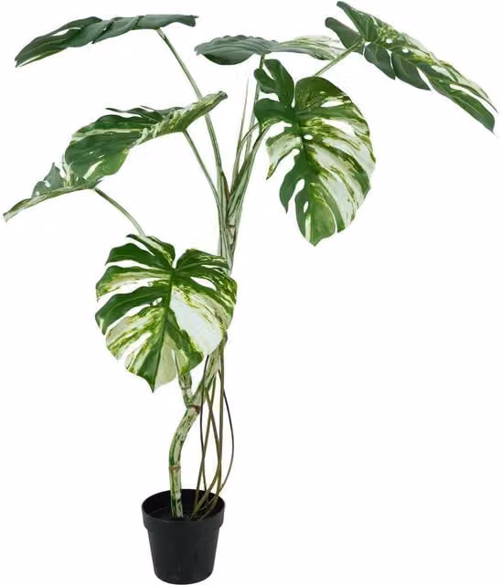 Botanik Variegated Monstera Artificial Plant, Green and White, Height: 120 cm, Width: 60 cm