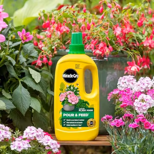 Miracle-Gro Pour and Feed Liquid Plant Tonic for Lawns, 1 l – 3