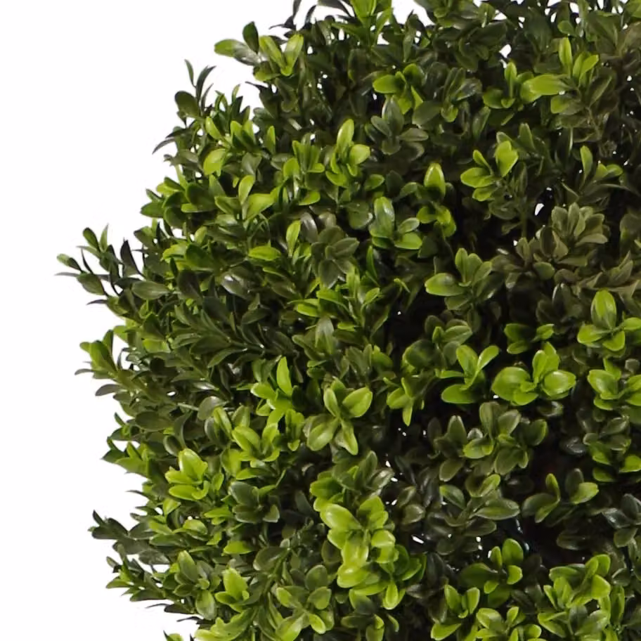Leaf Design UK Artificial Green Boxwood Buxus Ball Topiary Tree, Height: 120 cm, Diameter: 18 cm – 3