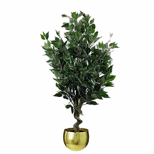 Leaf Realistic Artificial Ficus Tree with Planter, Green and Gold, Height: 110 cm