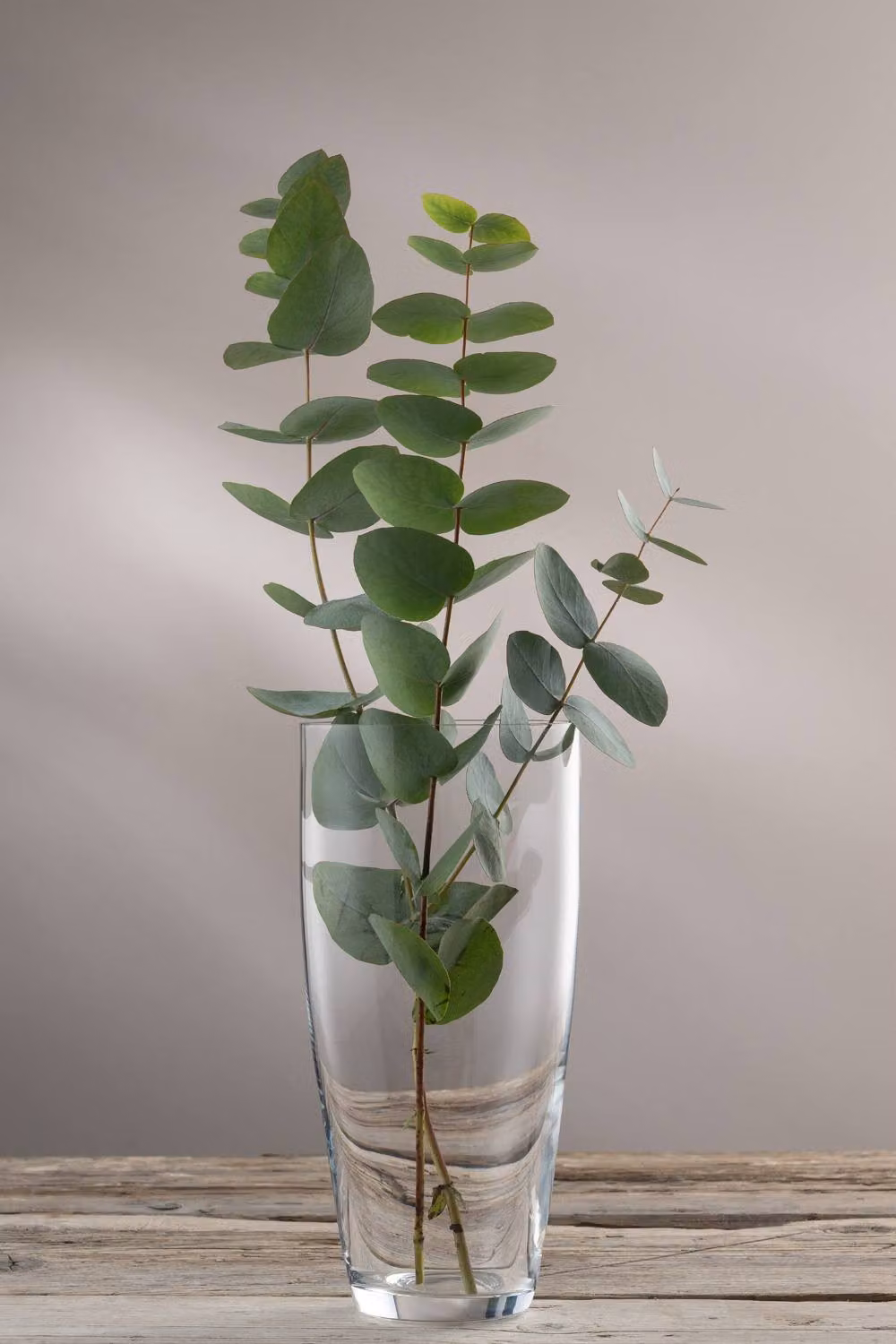 Galway Crystal Nua Clear Glass Vase, Height: 25.4 cm – 2
