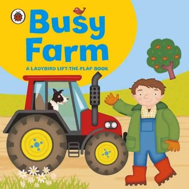 Ladybird Amanda Archer Ladybird Lift-the-Flap Busy Farm Board Book, Multicolour