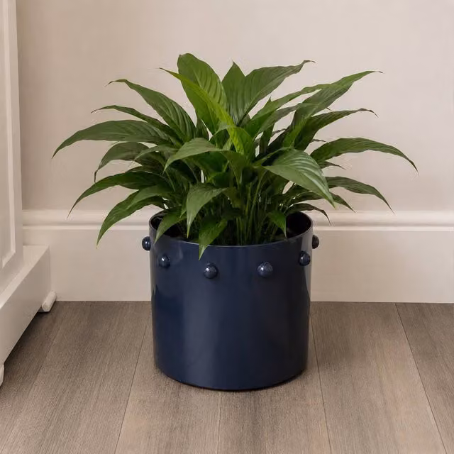Melody Maison Modern Geometric Blue Metal Tabletop Planter Pot, W/D/H: 28 x 28 x 23.5 cm – 1