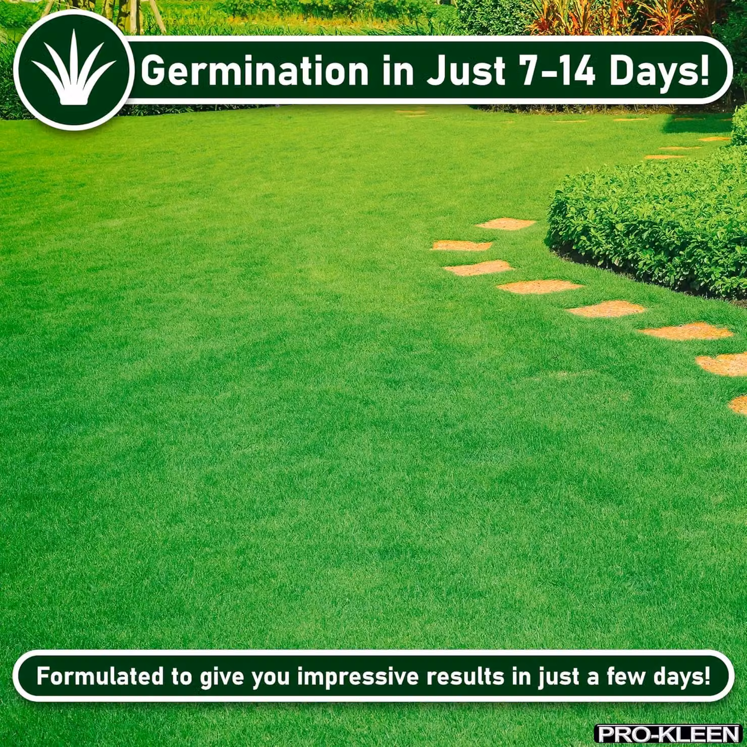 ProKleen Fast Growing Grass Seed, 3 x 5kg, Covers Up to 900m2 – 2