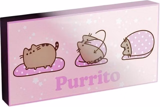 Pusheen Purrito Light Up Canvas Letterbox Gift in Pale Pink