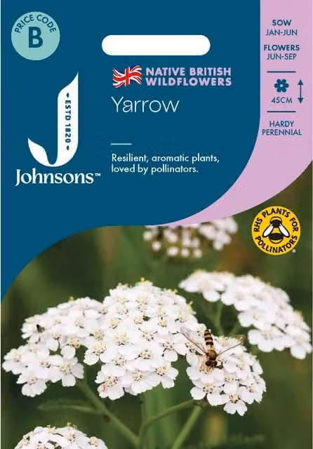 Johnsons Seeds White Yarrow Wild Flower Seeds