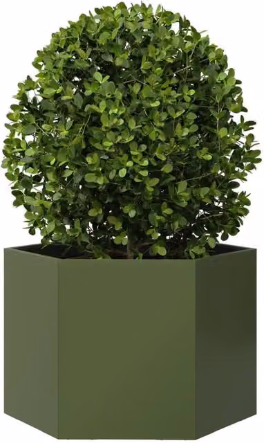 Berkfield Home Durable Steel Hexagon Garden Planter, Green, W: 69 cm, D: 60 cm, H: 45 cm