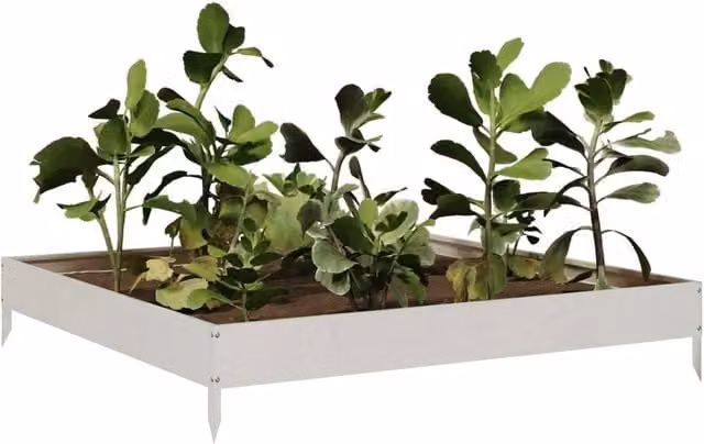 Berkfield Home Garden Stainless Steel Raised Bed in Silver, W/D/H: 100 x 100 x 18.5 cm – 1