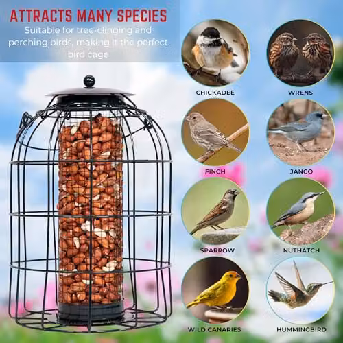 Samuel Alexander Pack of 3 Green Metal Wire Mesh Wild Bird Hanging Nut Seed and Fat Ball Feeders with Squirrel Guard – 4