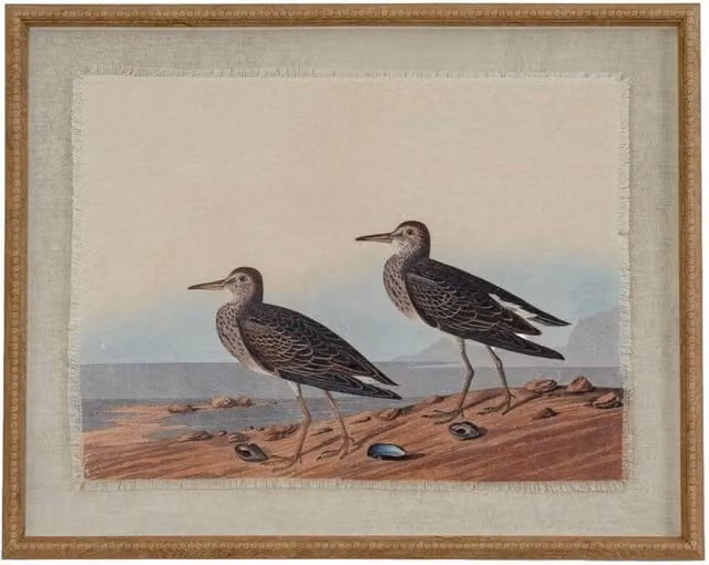 KDMD Flora & Fauna Sandpipers on Linen Beaded Frame Modern Wall Artwork in Brown – 1