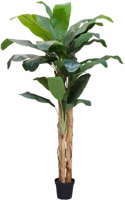 KDMD Artificial Banana Tree in Green