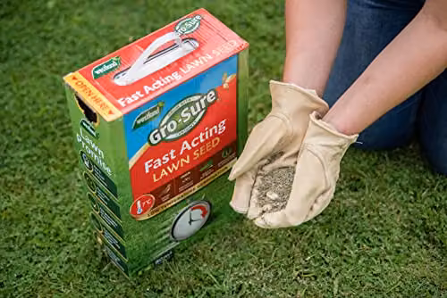 Gro-sure Fast Acting Pelleted Lawn Grass Seed, 1.5 kg, Covers 50 m2 – 3