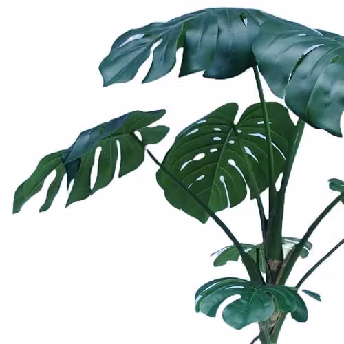 Botanik Green Artificial Monstera Plant Tree, H 180 x W 90 x D 90 cm – 2