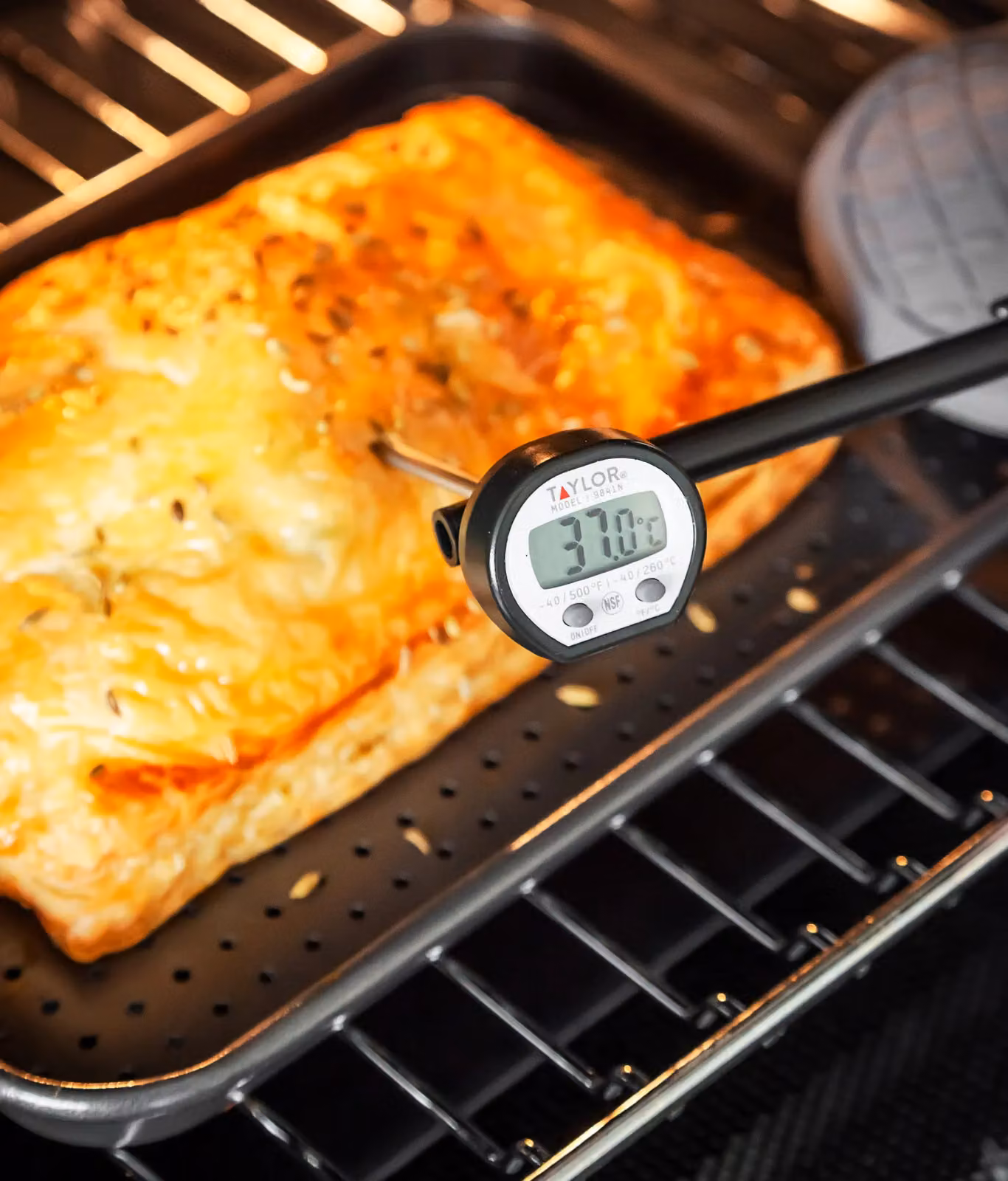 Taylor Pro Digital High Temperature Food Thermometer in Black – 2