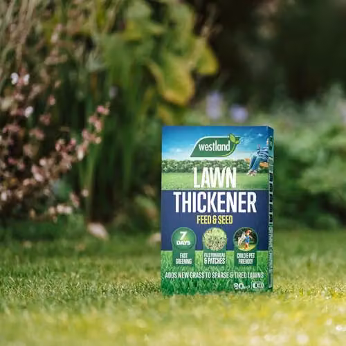 Westland Lawn Thickener and Reviver – 5